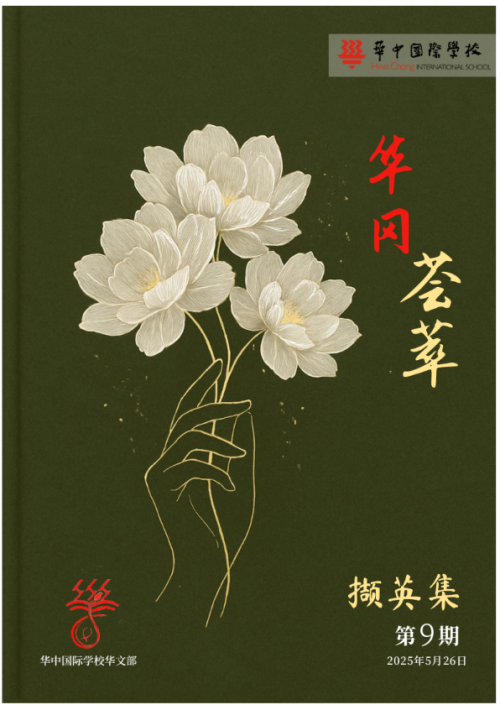 屏幕截图 2025-05-26 172408